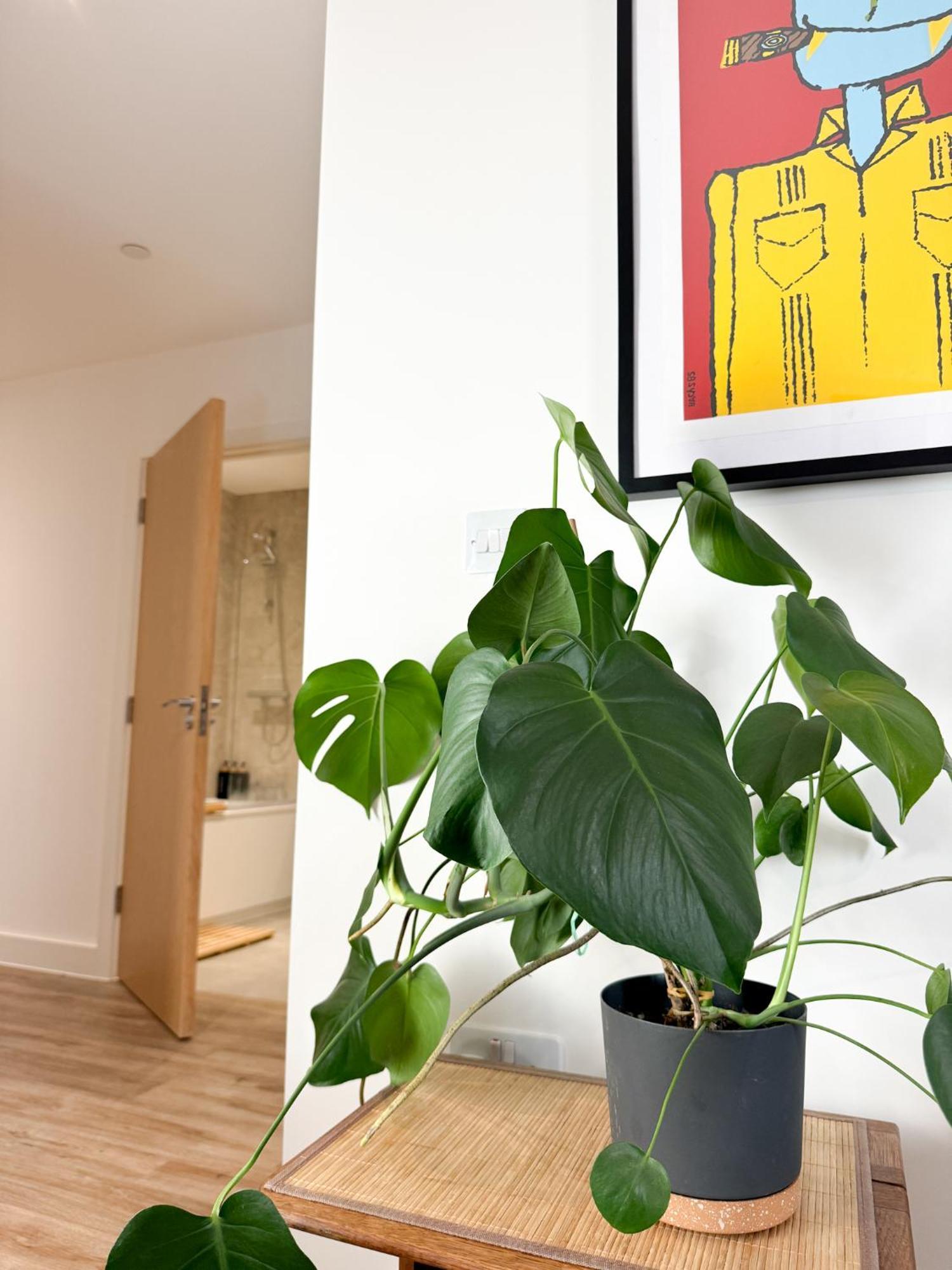 Stokes Croft - Whole - Centre - Serviced Bs1 *